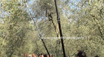 Con l’Aspol al via il ‘Corso di potatura degli #Olivi e di assaggio dell’#Olio’