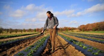 Indomeni: dal sud pontino parte la campagna di crowdfunding