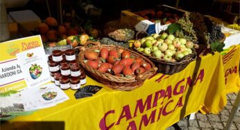 Campagna Amica sbarca a Gaeta. Sabato ore 19 via Annunziata 