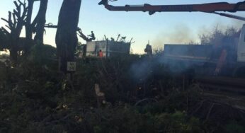 Emergenza sulla Pontina, per riaprirla sarà necessario abbattere 90 pini