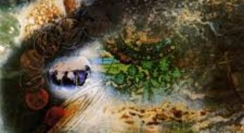 “A Saucerful of Secrets“…..48 anni di storia del Rock.