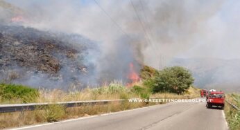 Gaeta: Fiamme sulla strada consortile. Sul posto Vigili del Fuoco