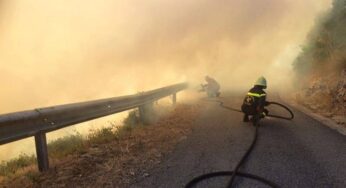 Ancora fiamme tra i boschi e alla periferia della città. Situazione critica 