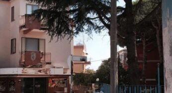 Gaeta, ramo si spezza in via Genova **FOTO**