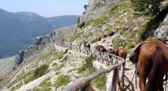 “La Montagna Armonica”:Festival di Musica e Cultura sui Monti Aurunci