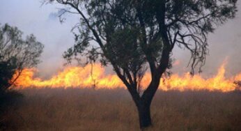 Formia, M5S: “Dopo il catasto incendi, a quando il Tavolo Tecnico? Il Comune si sbrighi!”