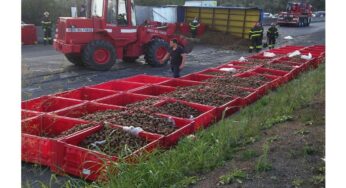 Si ribalta camion carico di kiwi. Pontina bloccata