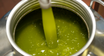 L’EVOO può influenzare la genesi e l’esito di alcune patologie tumorali e la loro terapia