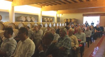 ​Le qualità organolettiche dei nuovi oli extravergine di oliva e campagna olearia 2016/17: l’incontro col Capol a Cori