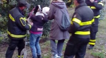 Gaeta, precipita in un dirupo: cagnolina salvata dai VVF