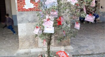 Itri/È dedicato ai paesi colpiti dal sisma l’Albero realizzato dagli alunni della 2ª B dell’Istituto Comprensivo Gianni Rodari