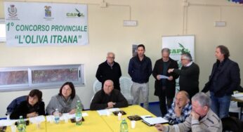 Al via il 2º Concorso Provinciale “L’Oliva Itrana”