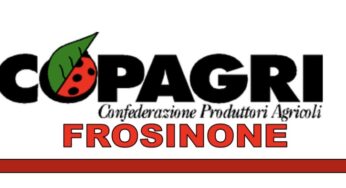 Frosinone/Incontro-dibattito con gli allevatori