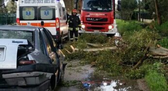 Maltempo, albero cade su auto: i Vigili del Fuoco soccorrono due persone
