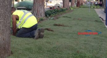 Gaeta/Aree verdi: nuovi interventi di bonifica