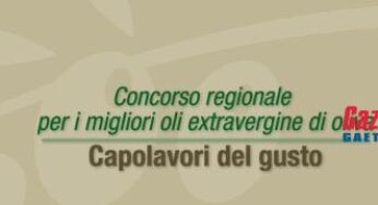 Orii del Lazio, premiate 6 aziende pontine