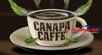 Il Canapa Caffè apre a Roma: tutto sul mondo della cannabis