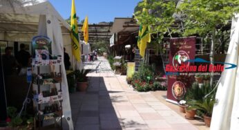 “Primavera a Gaeta”: un bilancio decisamente positivo