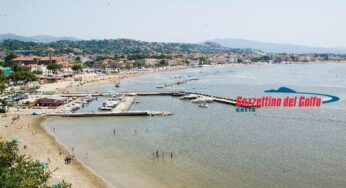 Spiaggiameno uccelli a Scauri oggetto d’indagine dell’ISPRA