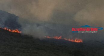 Ancora fiamme nel Golfo. Fiamme in località Bevano (#Foto #Video)