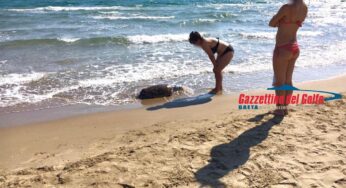 Carcassa di Tartaruga spiaggiata tra i turisti