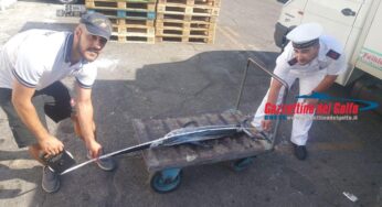 Assenza di bagnini e pescato sotto misura: oltre 20mila euro di sanzioni tra Sperlonga e Formia