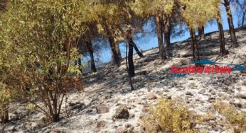 Appuntamento con gli incendi