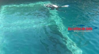 Dissalatore a Ventotene: proseguono i lavori di Acqualatina
