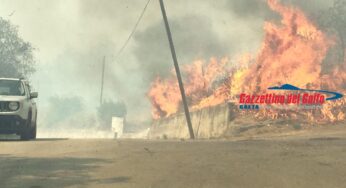 ++ULTIM’ORA++ Evacuato il Comune di Santi Cosma e Damiano. Incendio terribile