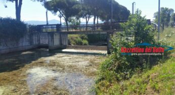 Siccità: Coldiretti apre la “Vertenza Lazio”