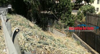 Gaeta, interventi di bonifica lungo la Flacca. Di Vasta: “Ringrazio il Sindaco e l’Assessore all’Ambiente per la celerità dell’intervento”