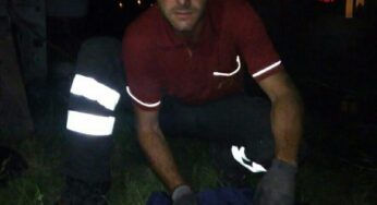 Cucciolo cade e rimane intrappolato in un pozzo. Salvato dai Vigili del Fuoco