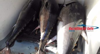 Formia: la Guardia Costiera sequestra 200 kg di tonno rosso. Imbarcazione senza autorizzazioni