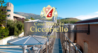 Cosmo Ciccariello, un’eccellenza gaetana nel mondo: “Il vino è un’arte di cui uno si innamora e dalla quale cerca di ottenere sempre di più”
