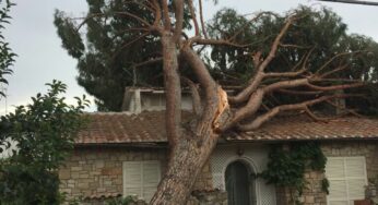 Maltempo, tromba d’aria a Terracina: albero si abbatte su una casa