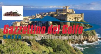 Gaeta, “Il sabato tra gli uliveti”: Iniziativa della FIS alla scoperta del territorio