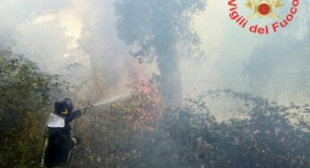 Fiamme nel Parco nazionale del Circeo (#video)