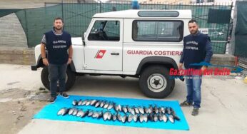 Gaeta: la Guardia Costiera sequestra tonno rosso