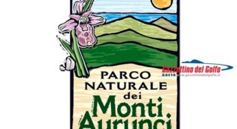 Autorizzazioni Taglio alberi in zona protetta: attivata sinergia tra Comune di Spigno Saturnia ed Ente Regionale Parco dei Monti Aurunci