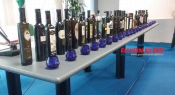 Valorizzazione e promozione della cultivar Itrana: il nuovo progetto del CAPOL co-finanziato dall’ARSIAL verrà realizzato nel Comune di Roccasecca dei Volsci