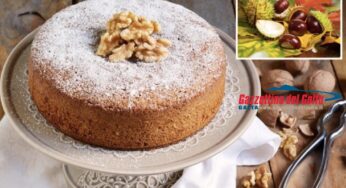 Torte di Castagne e Noci: scopri le ricette per i sapori di stagione