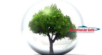 Itri, martedì la giornata degli alberi: protagonisti gli studenti