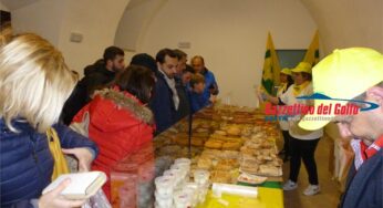 Gaeta, ieri sera il debutto di Coldiretti alle Luminarie. Il cibo di strada italiano batte le mode esterofile