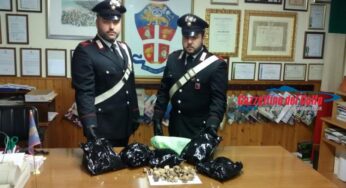 Spaccio di sostanze stupefacenti: un arresto