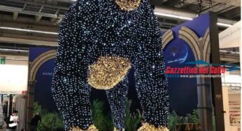 Il ‘Gigante della Foresta’ da Gaeta a Francoforte per il “Christmas World”