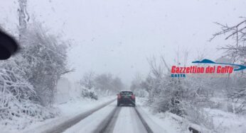 Emergenza gelo: rischio gelate notturne