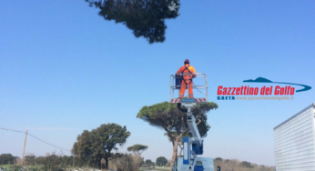 Rami pericolanti sulla Pontina. In corso la rimozione