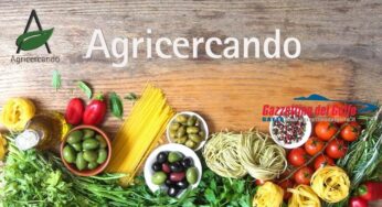 Agricercando: aprono 5 help point fissi, uno dei quali a Latina