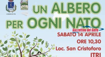 Un albero per ogni bambino nato o adottato: il comune di Itri aderisce all’iniziativa