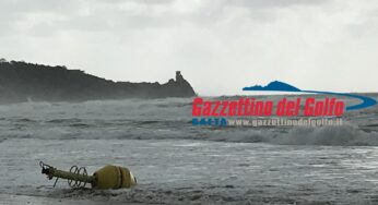 Risolto il caso della boa arenata sulla spiaggia di S.Agostino a Gaeta: arriva da Ischia